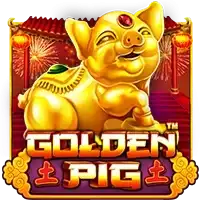 GOLDEN PIG